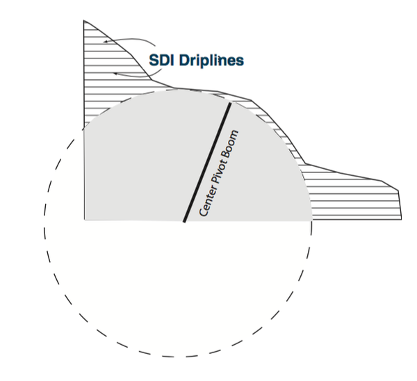 Figure 2. Irregularly shaped fields are better suited to SDI